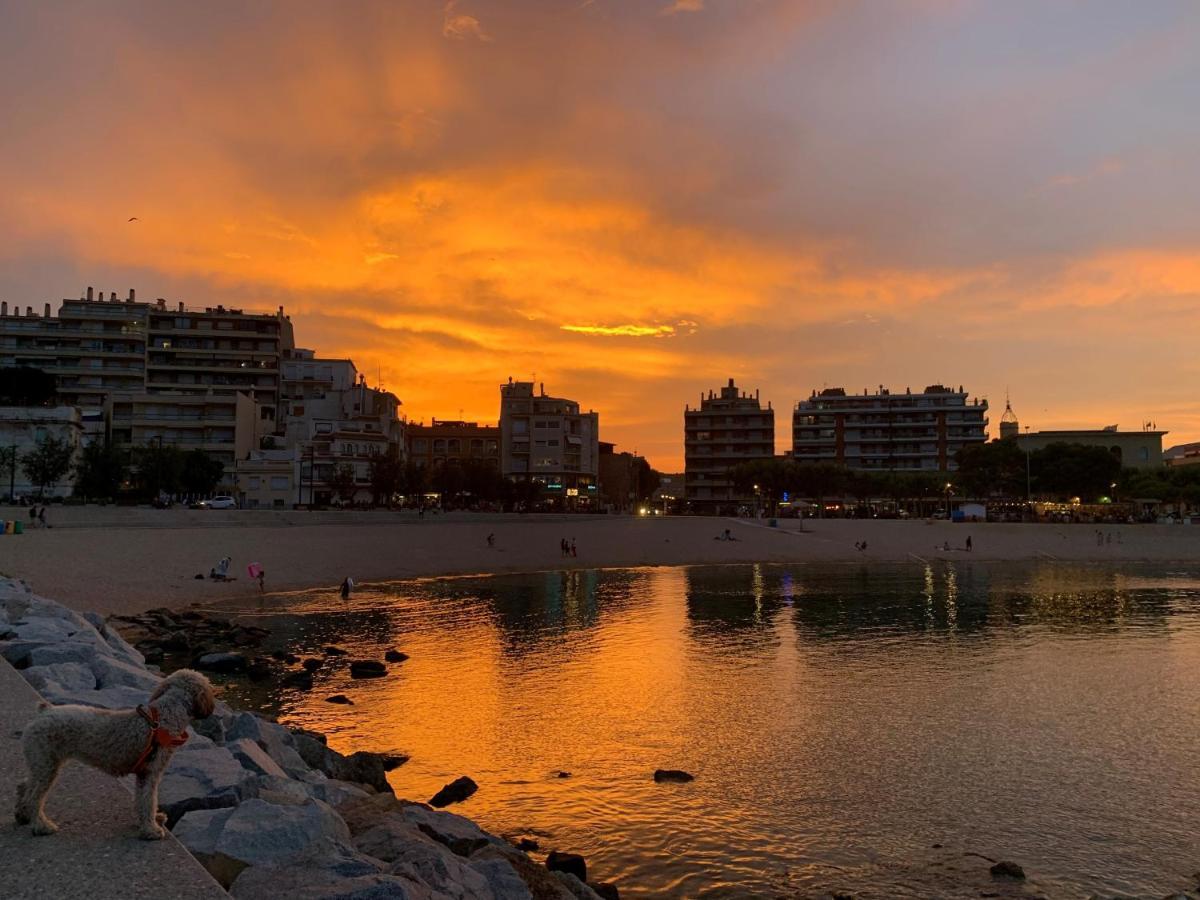 Notaria-Apartamento Y Estudio En Casco Antiguo, Al Lado De Playa, Rambla Y Monasterio, Con Acceso A Terraza Ajardinada Sant Feliu de Guíxols Exterior photo